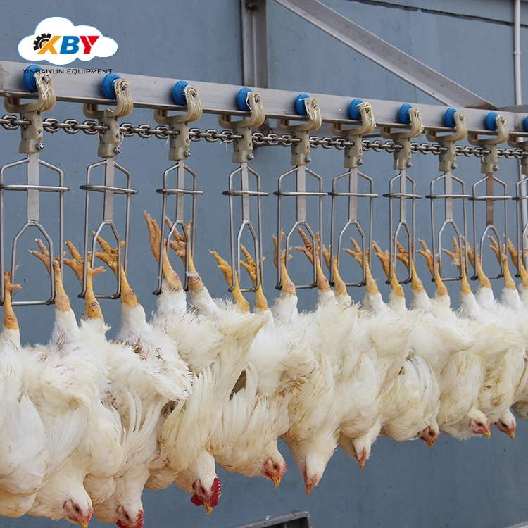 High Quality Poultry Chicken Abattoir Slaughtering Equipment Line Slaughterhouse Equipment