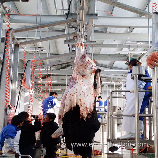 Qh300h Matadero eléctrico Picadora de carne Cortadora Línea de corte de procesamiento Sierra de aves de corral Pollo Pescado Ganado Máquina para matar cerdos Equipo de matadero