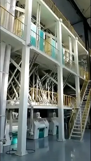Molino de sémola de maíz Planta de producción de harina de trigo Máquina trituradora de sémola de maíz Equipo de procesamiento de granos