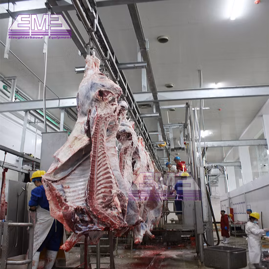 Matadero que procesa la máquina de sacrificio de vacas, equipo de matadero Ritual de ganado, caja de matanza Halal